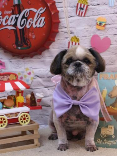 20230919ココロくん